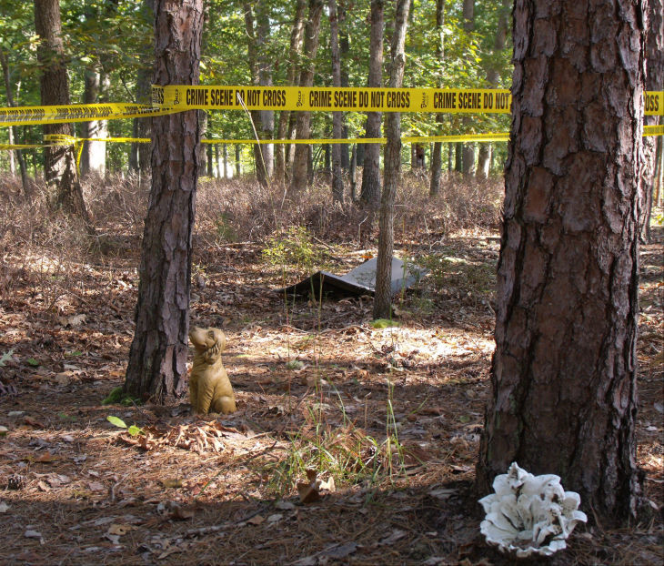 Hamilton Township plane crash